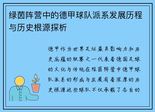 绿茵阵营中的德甲球队派系发展历程与历史根源探析