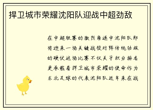 捍卫城市荣耀沈阳队迎战中超劲敌