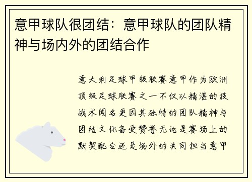 意甲球队很团结：意甲球队的团队精神与场内外的团结合作